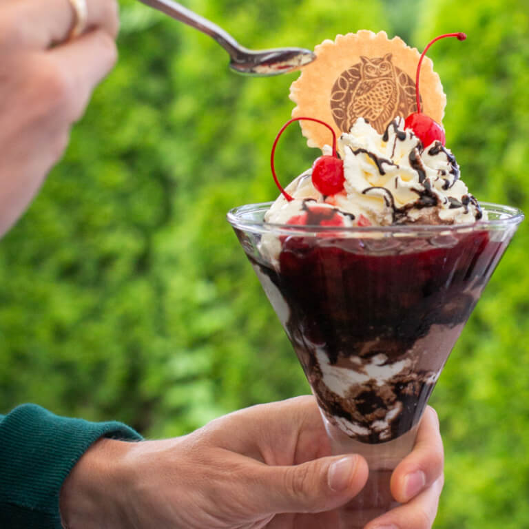 Deser lodowy Tartufo - W pucharku - Lody - Zdjęcie 2
