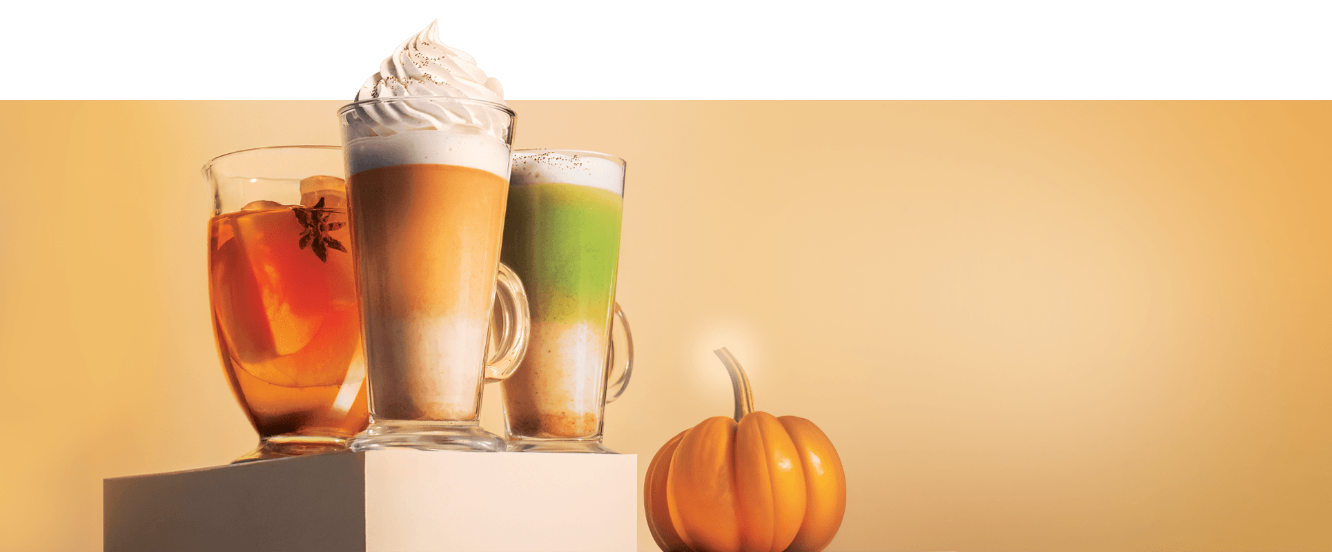 Pumpkin spice  3a